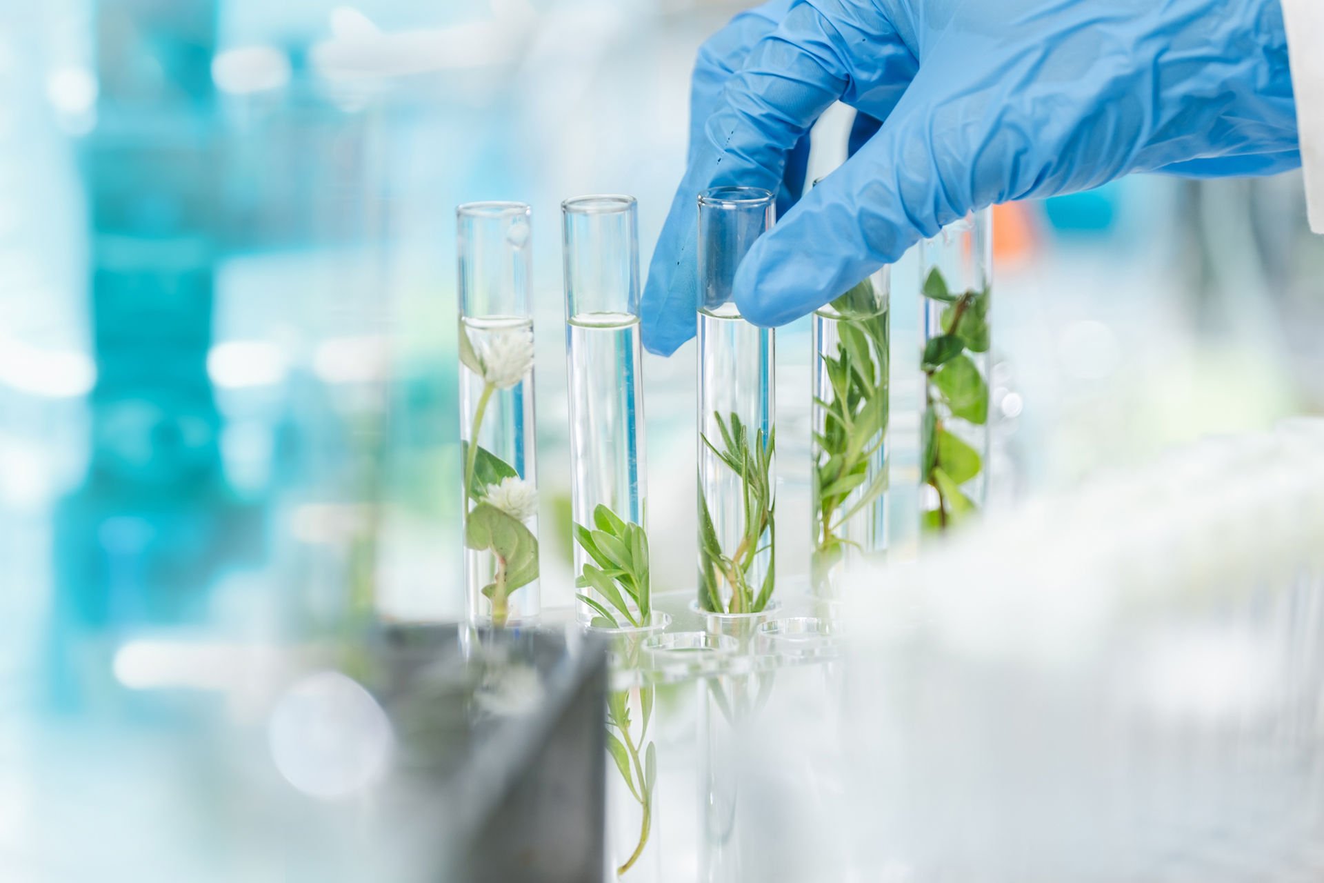 Green chemistry & sustainable process design