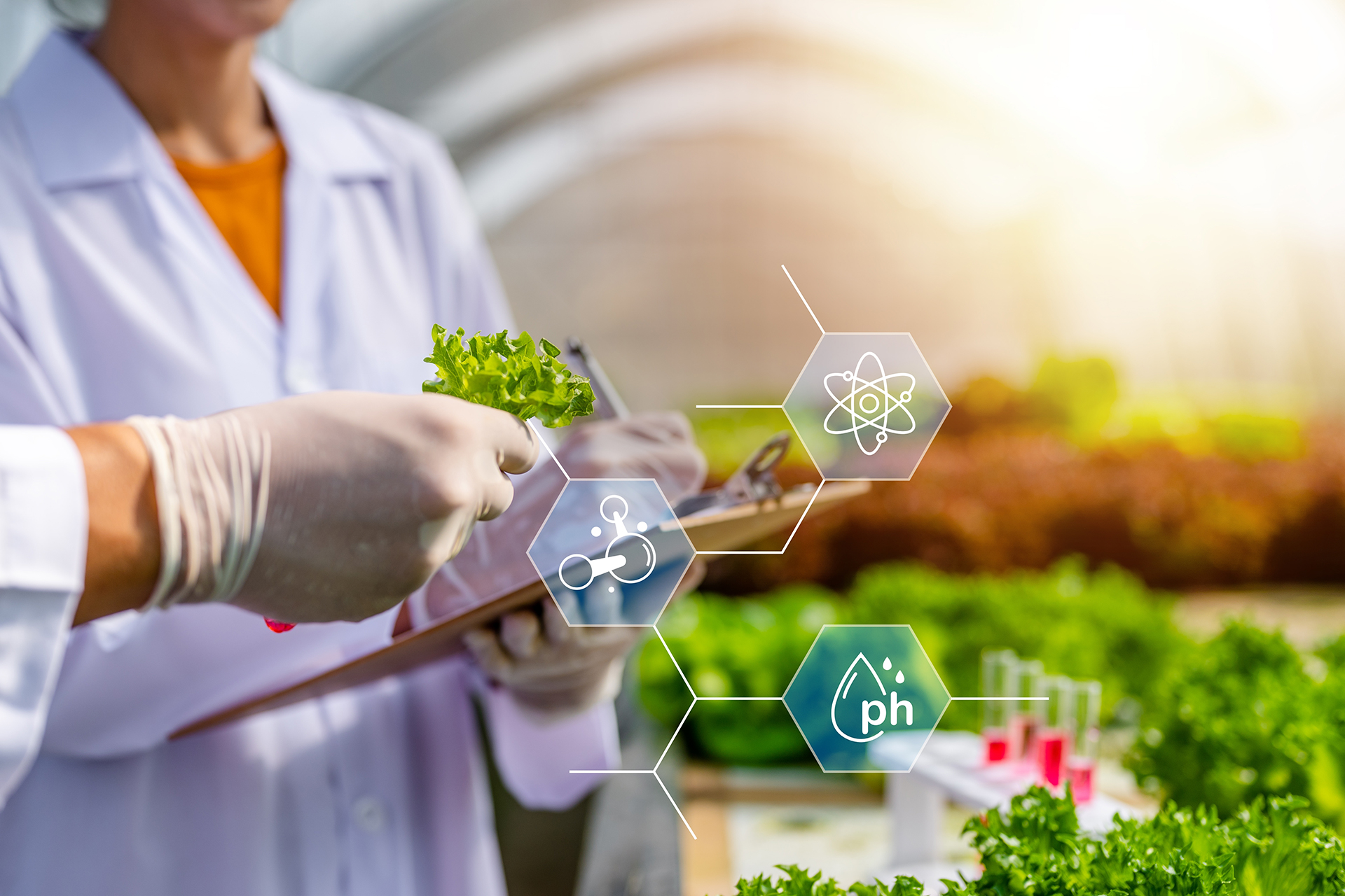 Industrial biotechnology revolution